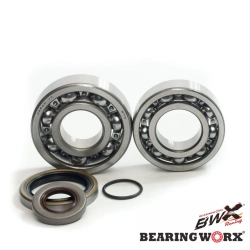 BEARING WORX łożyska wału korbowego z uszczelniaczami GAS GAS EC 200/250/300 10- (MADE IN JAPAN) (NTN) MOTORUS.PL