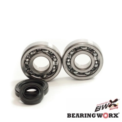 BEARING WORX łożyska wału korbowego z uszczelniaczami HONDA CR125 79-07 (MADE IN JAPAN) (NTN) (24-1003)=CBK30010 MOTORUS