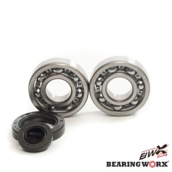 BEARING WORX łożyska wału korbowego HONDA CR250 92-07 (MADE IN JAPAN) (NTN) (24-1030) MOTORUS.PL