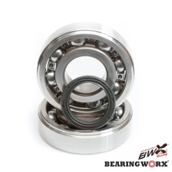 BEARING WORX łożyska wału korbowego z uszczelniaczami KAWASAKI KX125 88-07 (MADE IN JAPAN) (NTN) (24-1008) MOTORUS.PL