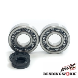 BEARING WORX łożyska wału korbowego z uszczelniaczami KAWASAKI KX250 87-01 (MADE IN JAPAN) (NTN) (24-1010) MOTORUS.PL