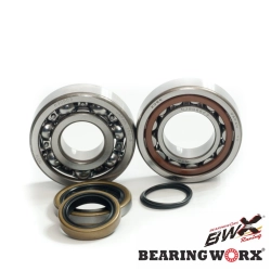 BEARING WORX łożyska wału korbowego z uszczelniaczami KTM SX/EXC 125/200 98-22 (MADE IN JAPAN) (NTN) (23.CBS62001) (24-1