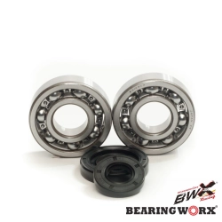 BEARING WORX łożyska wału korbowego z uszczelniaczami YAMAHA YZ250 01-18 (MADE IN JAPAN) (NTN) (24-1029) MOTORUS.PL